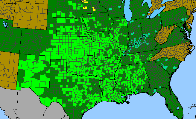 The range of Desmanthus illinoensis